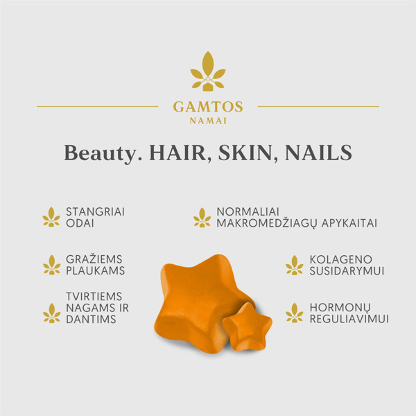 GAMTOS NAMAI BEAUTY HAIR SKIN NAILS, 60 gumiji attēls