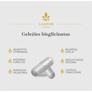 Dzelzs bisglikināts Gamtos namai, 60 капсул изображение