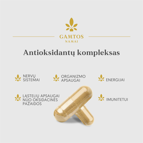 Gamtos namai antioksidantu komplekss, 60 kapsulas attēls