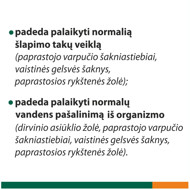 FITOLIZYNA NEFROCAPS PLUS, 30 kapsulas attēls