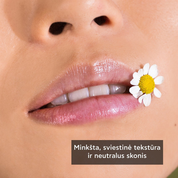 APIVITA, lūpu zīmulis ar kumelītēm, SPF15, 4,4 g attēls