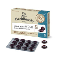 HERBITASSIN ICELAND MOSS HYDRO, 12 pastilas attēls
